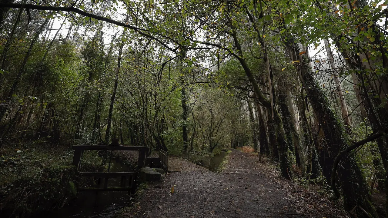 Una de la zonas del Souto da Retorta. JOSÉ Mª ÁLVEZ