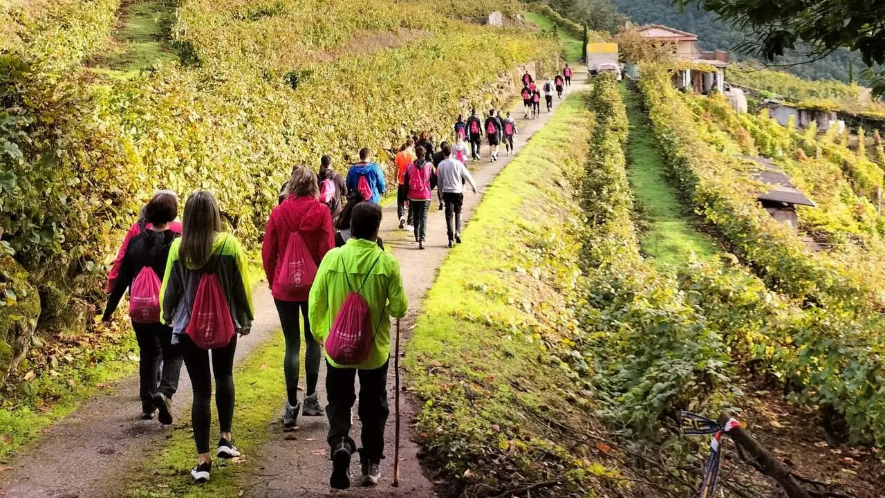Participantes en una edición pasada de la ruta Chantada contra o Cancro. CEDIDA