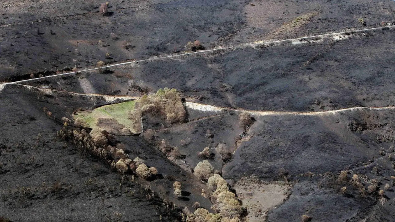 Monte calcinado en Cervantes el pasado mes de octubre. AEP