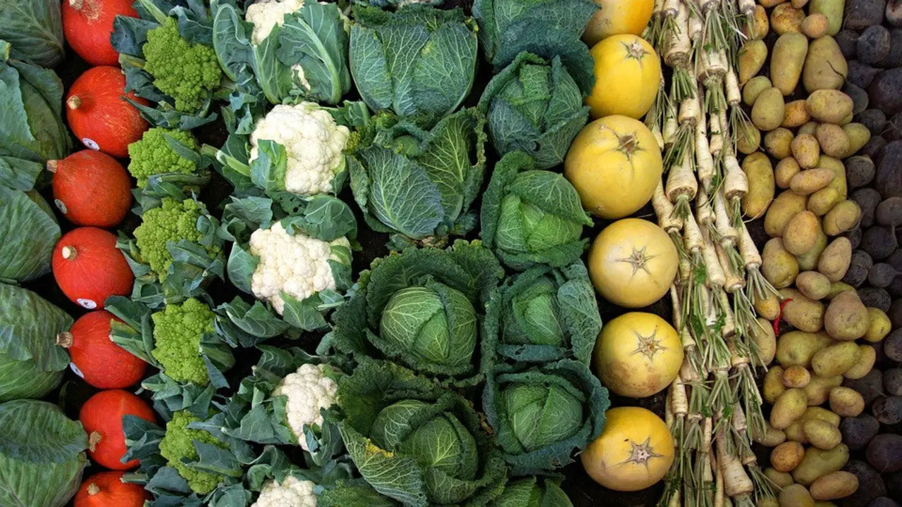 Tus comidas han de tener siempre la verdura como base y las cenas también. PIXABAY