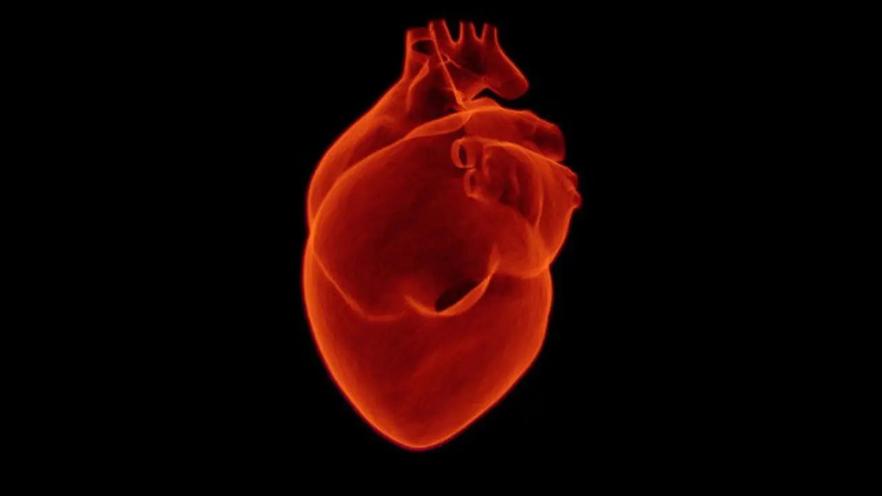 Los accidentes cardiovasculares son la primera causa de mortalidad femenina. PIXABAY