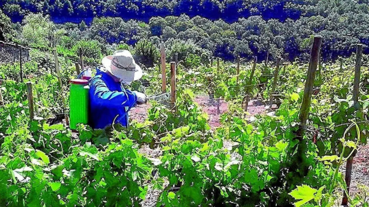 Generated by  IJG JPEG Library