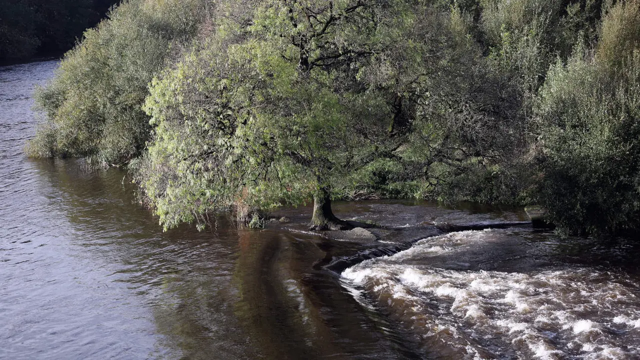 Río Miño a finales de 2023. VICTORIA RODRÍGUEZ