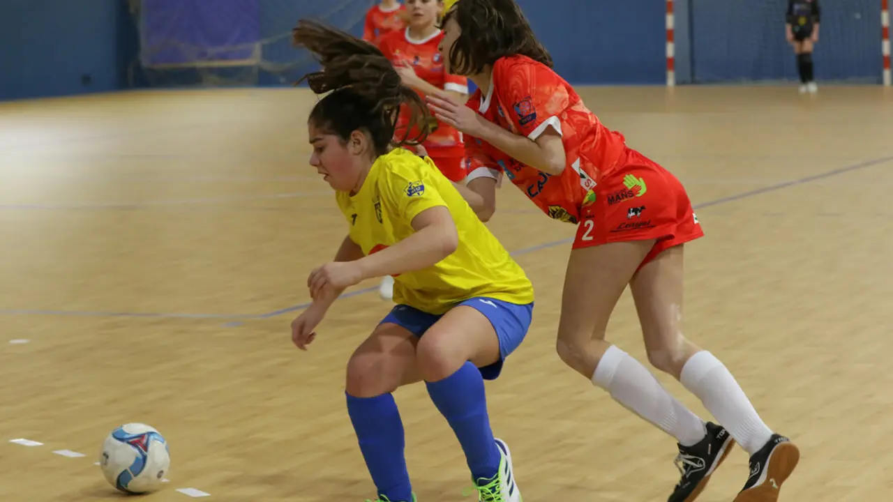 INF FEM-Casas-Castro-FER (13)