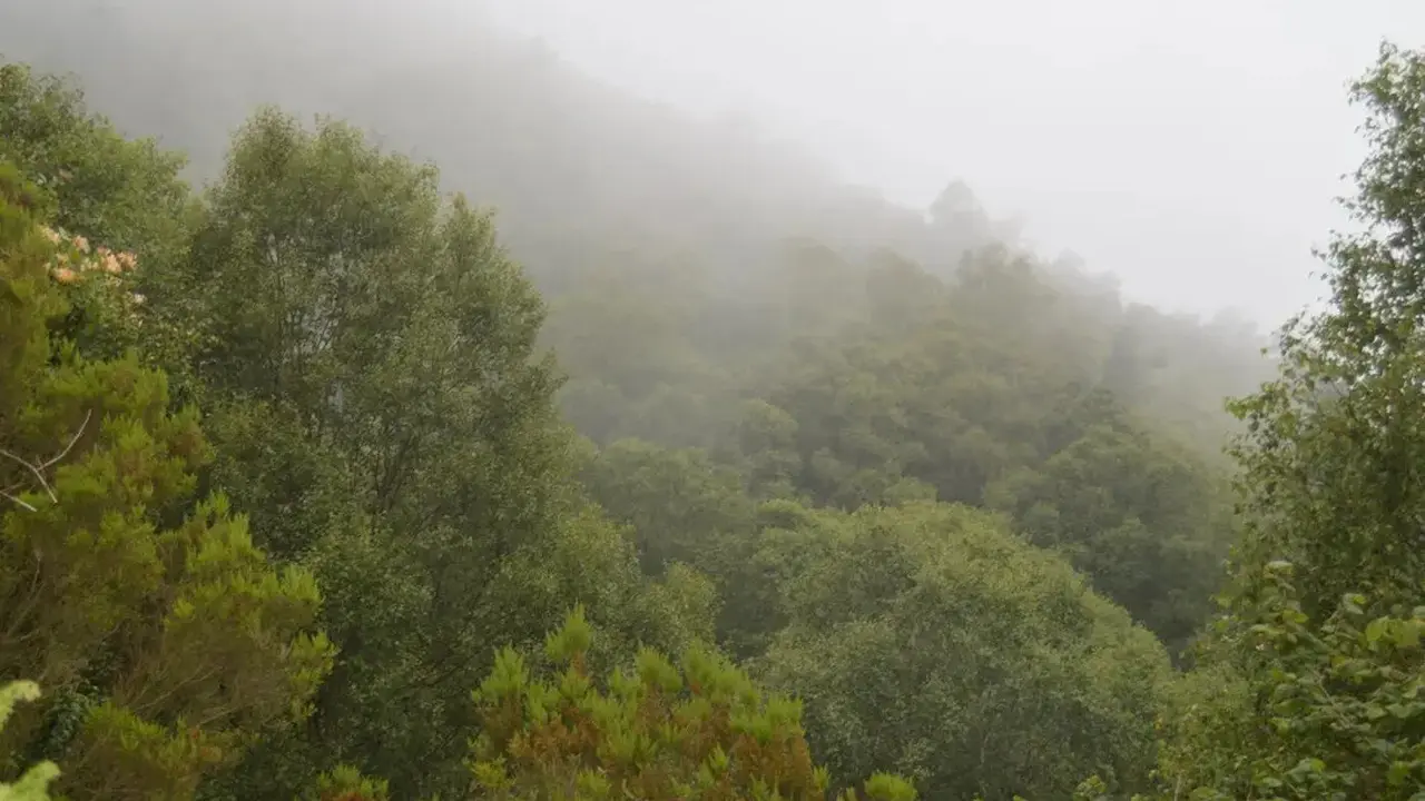 Fraga da Furna, un idílico entorno natural en O Valadouro. EP