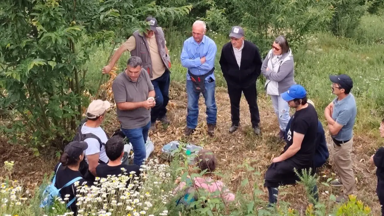 bcc00cf4-7d27-4d11-a2d2-e38eaba7e05d