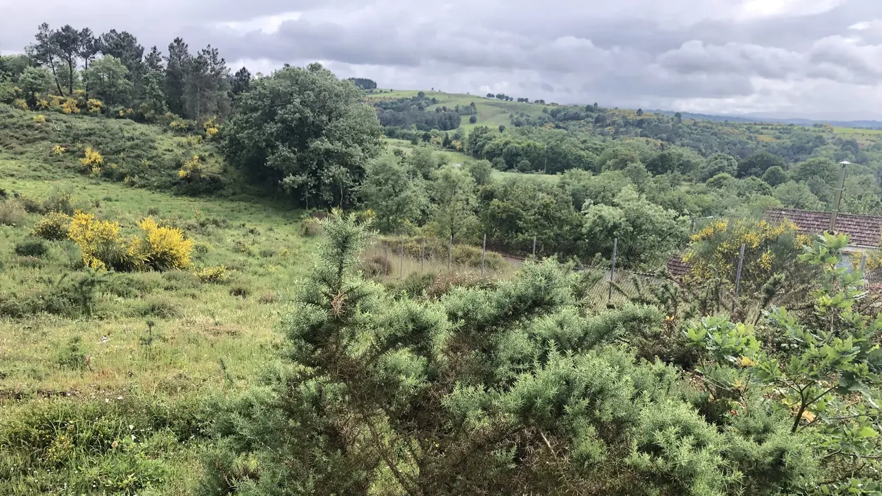 Parcela adquirida en O Saviñao por la Fundación Terrum. EP