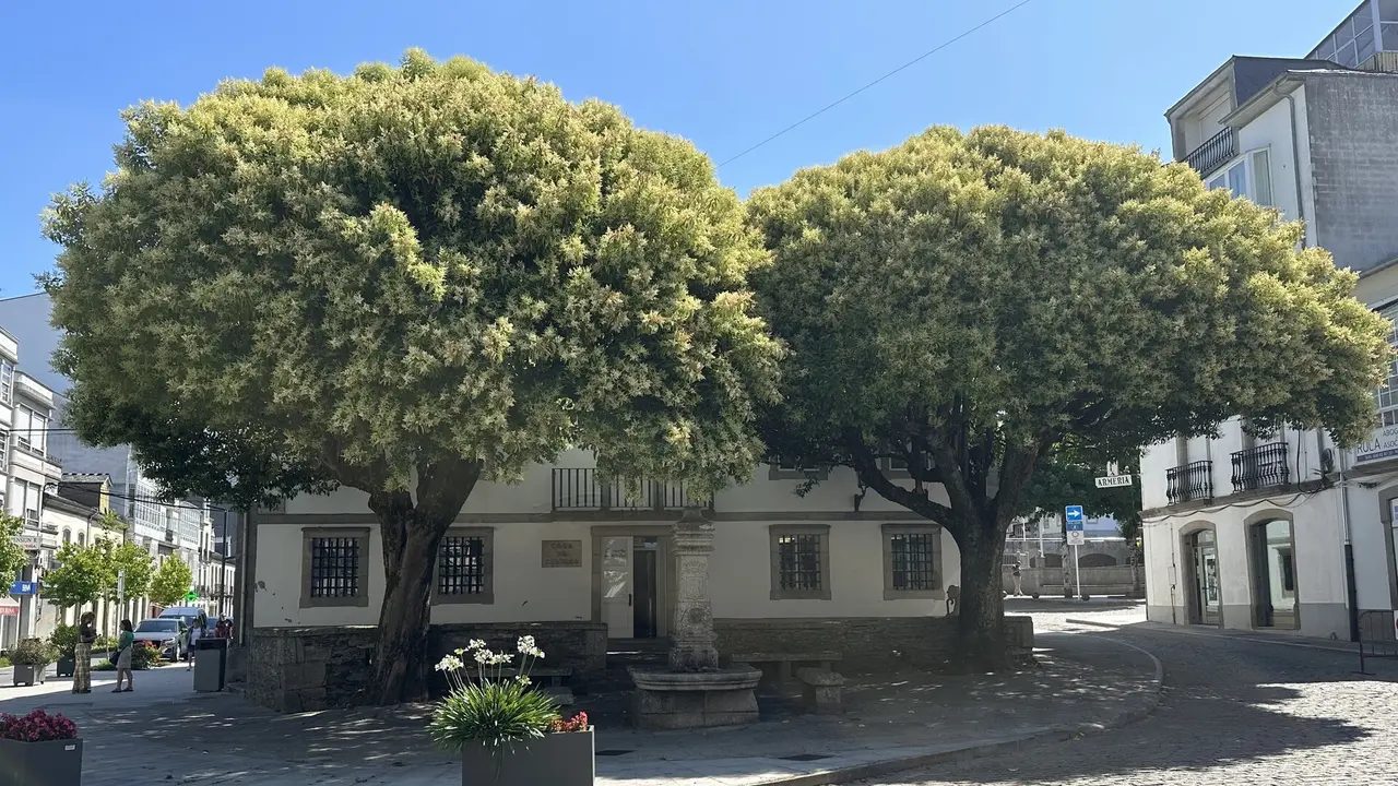 Espazo diante da casa da cultura de Vilalba. A.V.