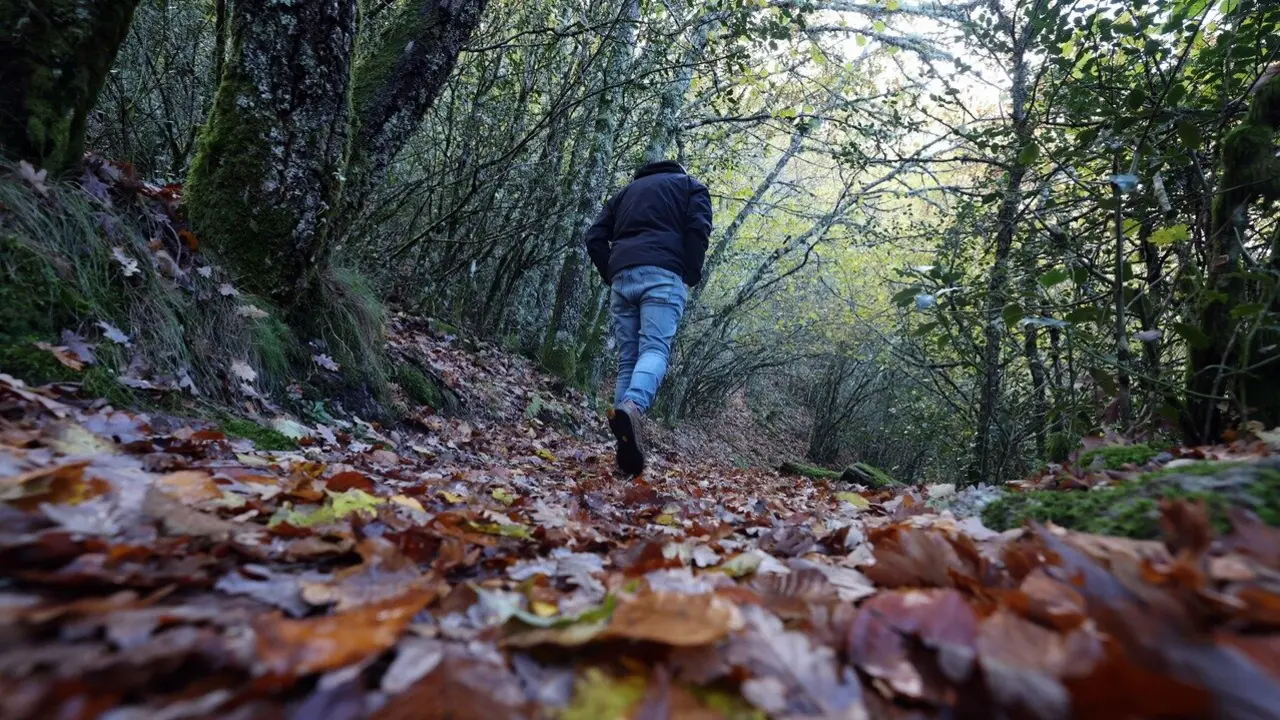 Serra do Courel. AEP