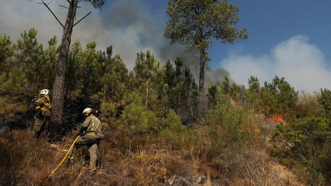 Bomberos forestales trabajando en la extinción del fuego en A Cova, en Carballedo. ELISEO TRIGO (EFE)