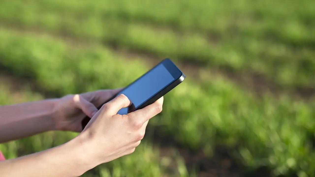 Una usuaria de un móvil en una zona rural. AEP
