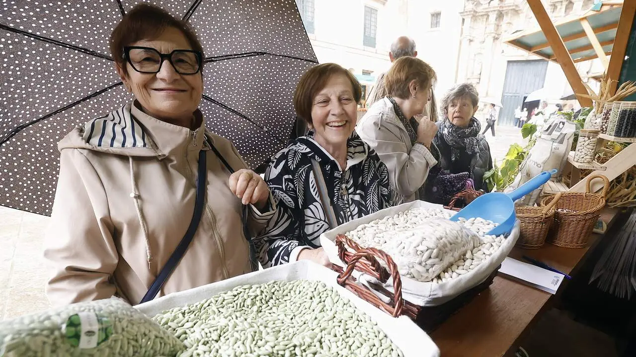 festa da faba de lourenzá