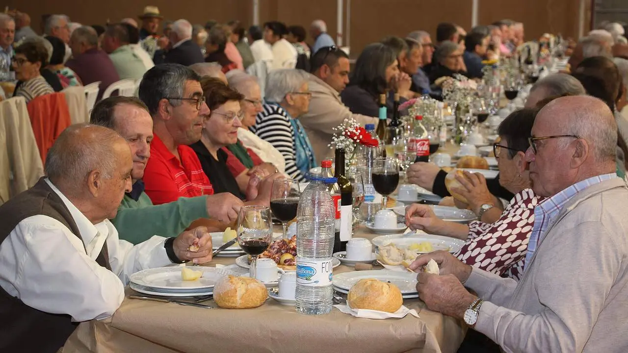 20251011_1760195308894_Alfo