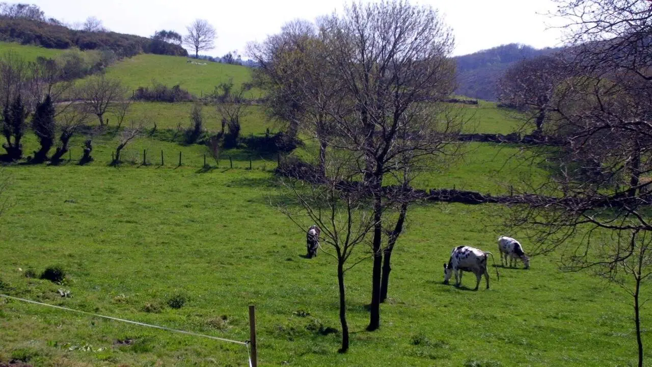 Vista de una zona rural de Palas de Rei, en una foto de archivo. AEP