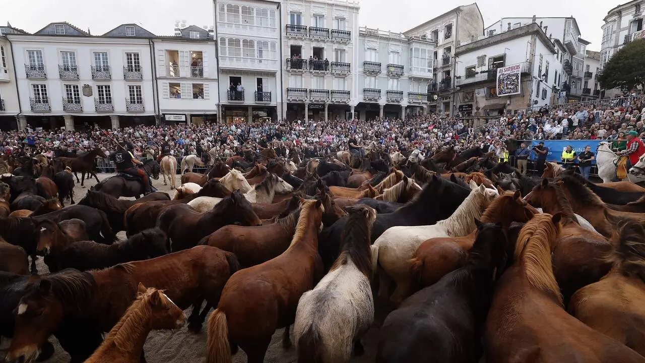 Llegada de los caballos a la Praza da Catedral de Mondoñedo. JOSÉ Mª ÁLVEZ