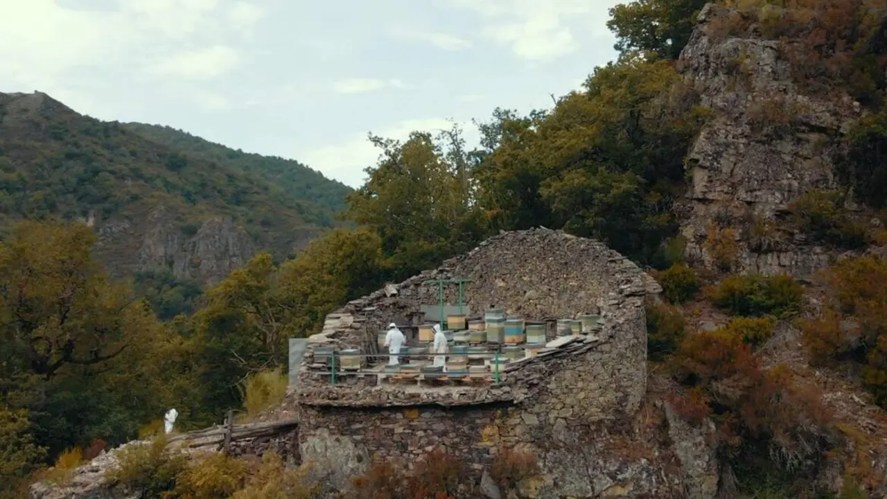 Uno de los proyectos de dinamización de Entama. EP