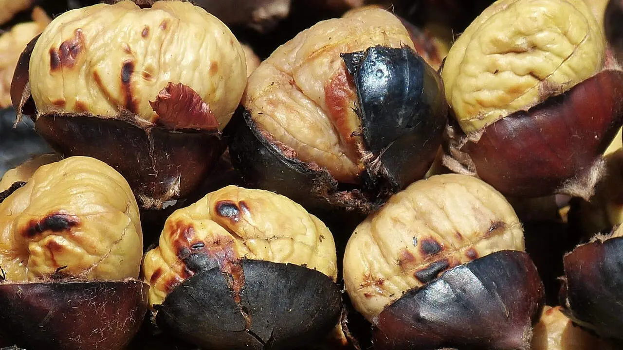 Castañas asadas freidora de aire