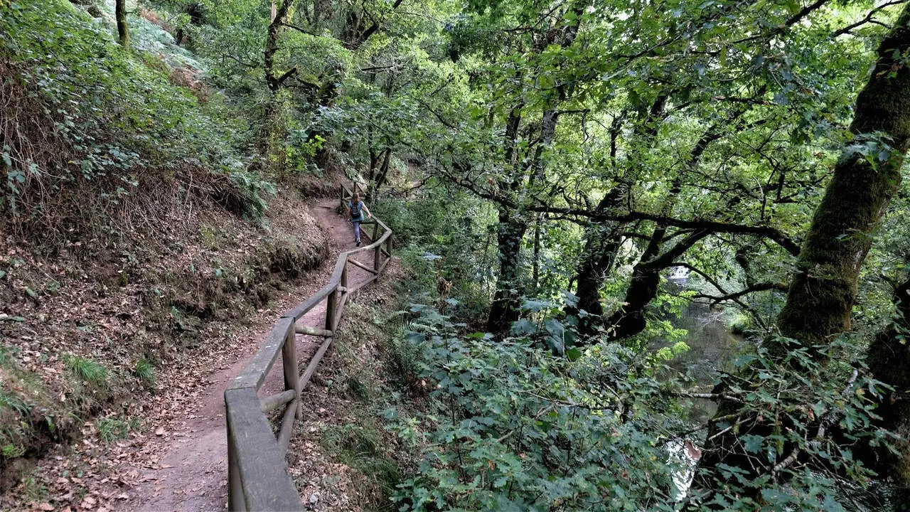 Ruta da Foz das Aceas en Sarria. XUNTA