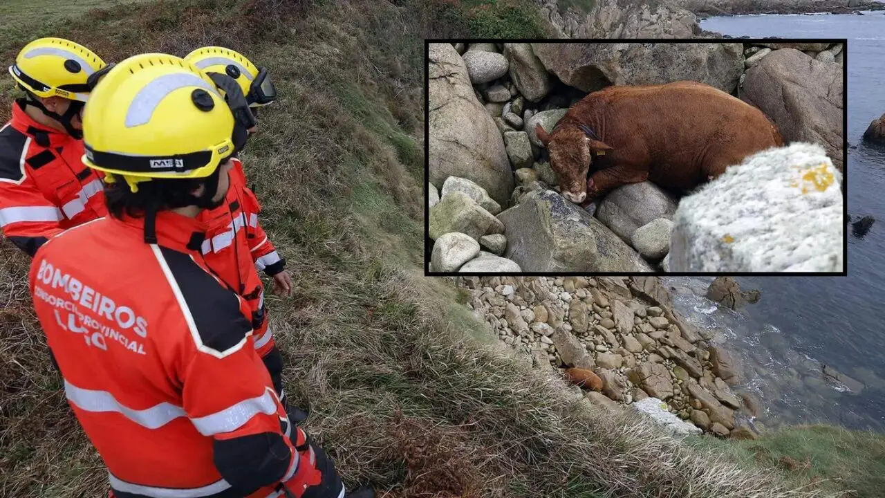 Los bomberos observando al animal en el fondo del acantilado, en Rueta. JOSÉ Mª ÁLVEZ