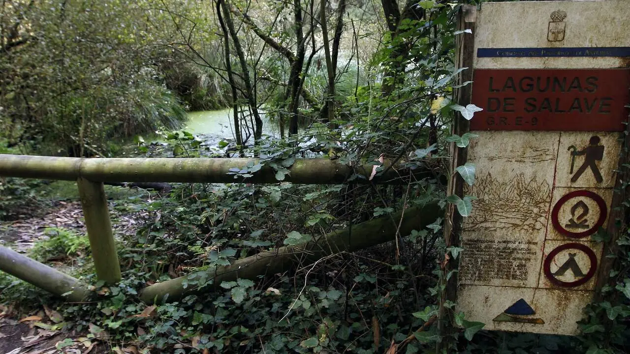 Una de las zonas de los lagos de Salave. JOSÉ Mª ÁLVEZ